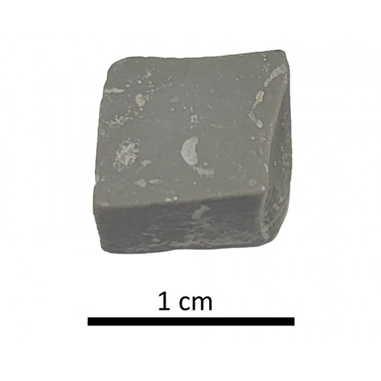 Tessera 6. Colonia Salaria (Úbeda, Jaén, Spain)