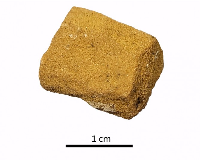 Tesela 6. Mosaico de El Altillo (Rus, Jaén, España)