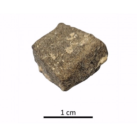 Tessera 7. El Altillo mosaic (Rus, Jaén, Spain)