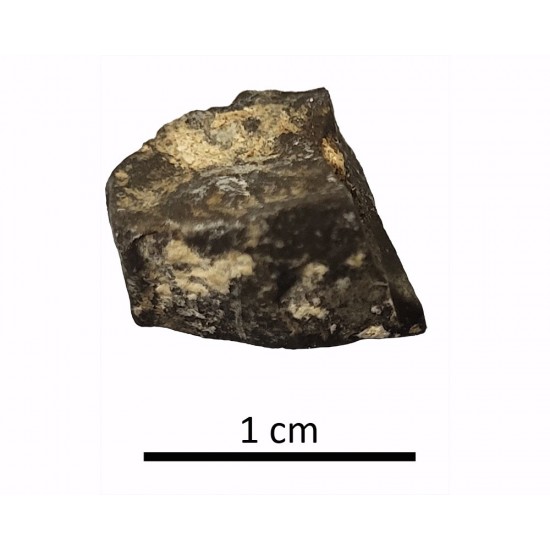 Tessera 8. Mosaico de El Altillo (Rus, Jaén, España)