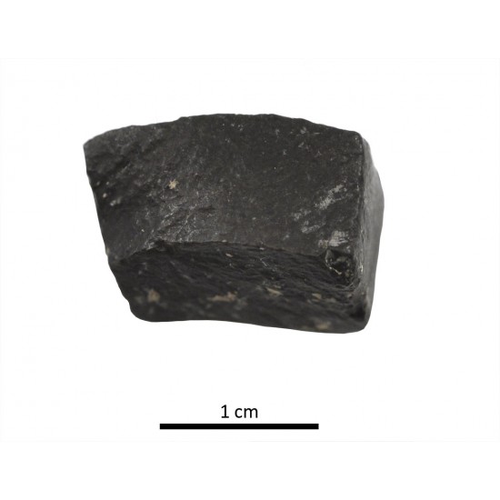 Tessera 10. Cástulo (Linares, Jaén, Spain)