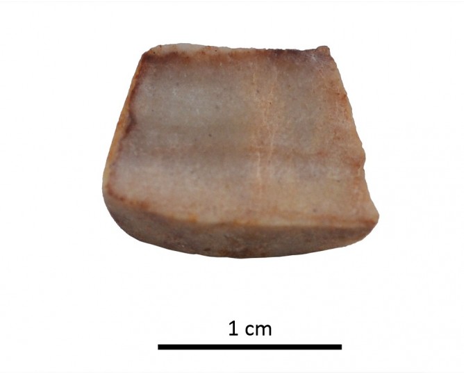 Tesela 77. Cástulo (Linares, Jaén, España)