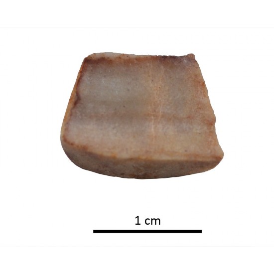 Tessera 77. Cástulo (Linares, Jaén, Spain)