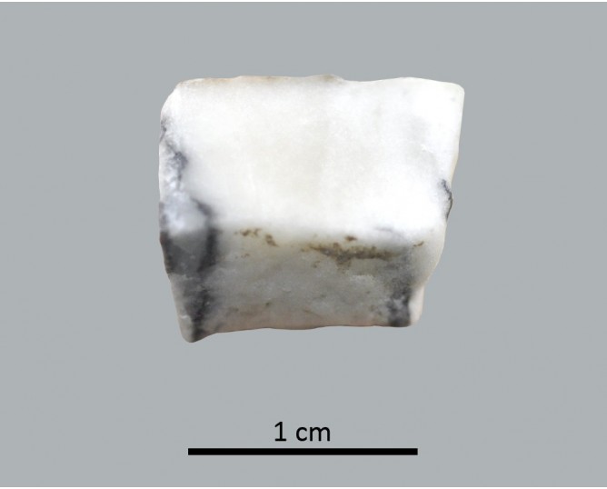 Tessera 51. Cástulo (Linares, Jaén, Spain)