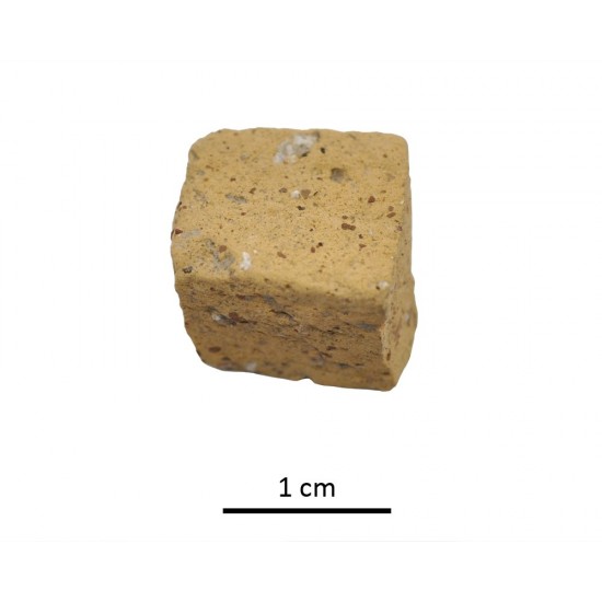Tessera 41. Cástulo (Linares, Jaén, Spain)