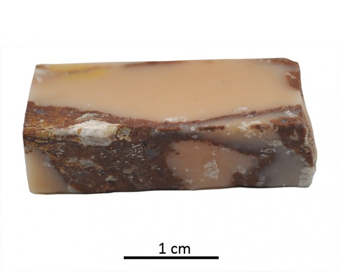 Fragment 136. Cástulo (Linares, Jaén, Spain)