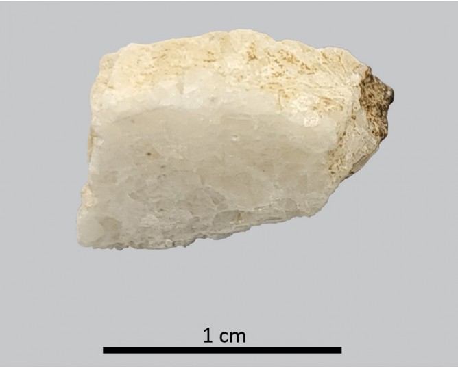 Tesela 52. Cástulo (Linares, Jaén, España)