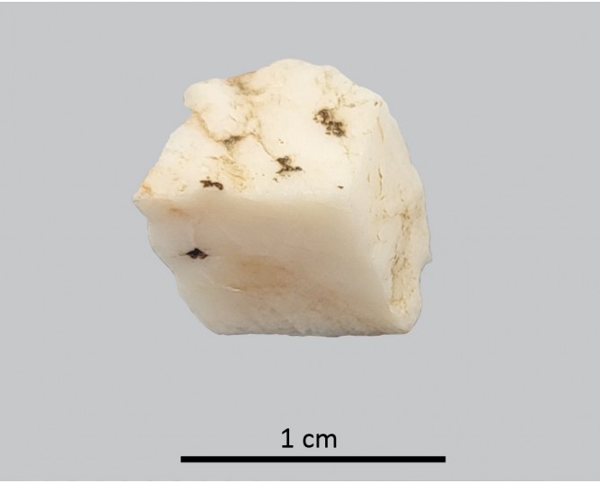 Tesela 112. Cástulo (Linares, Jaén, España)