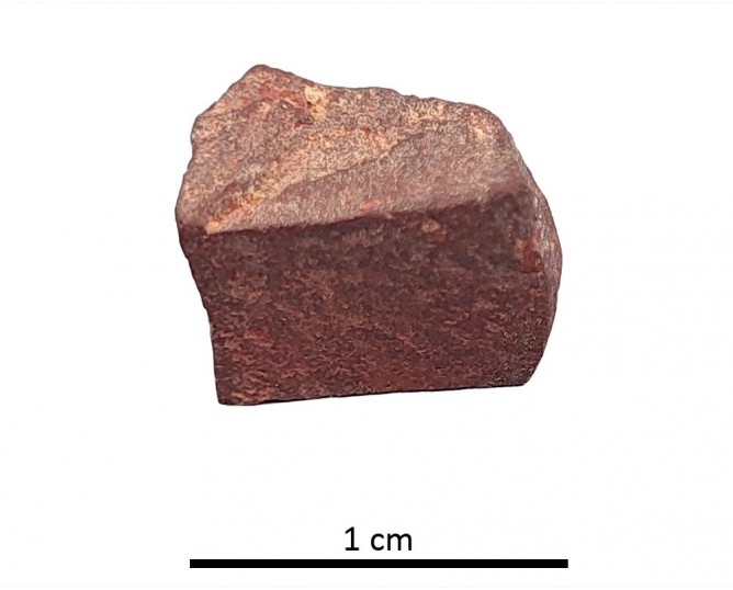 Tessera 81. Cástulo (Linares, Jaén, Spain)