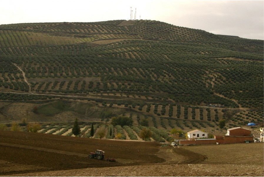 Cerro de Las Albahacas-Batalla de Baecula (Santo Tomé-Cazorla, Jaén, España)