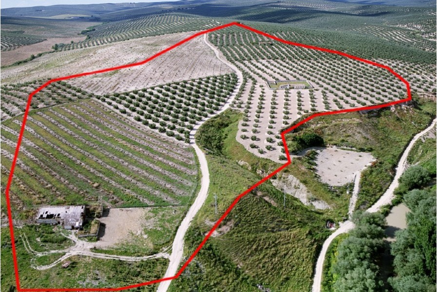 Oppidum Los Turruñuelos